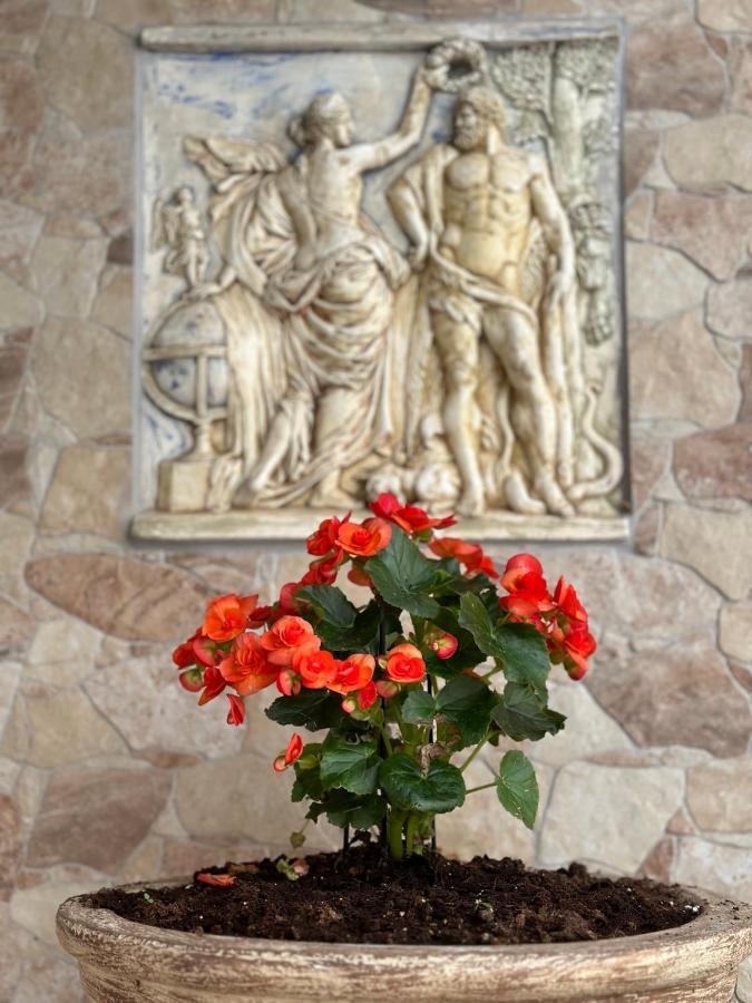 The Odyssey Holiday Home - Agios Ioannis, Pelion Agios Ioannis  외부 사진